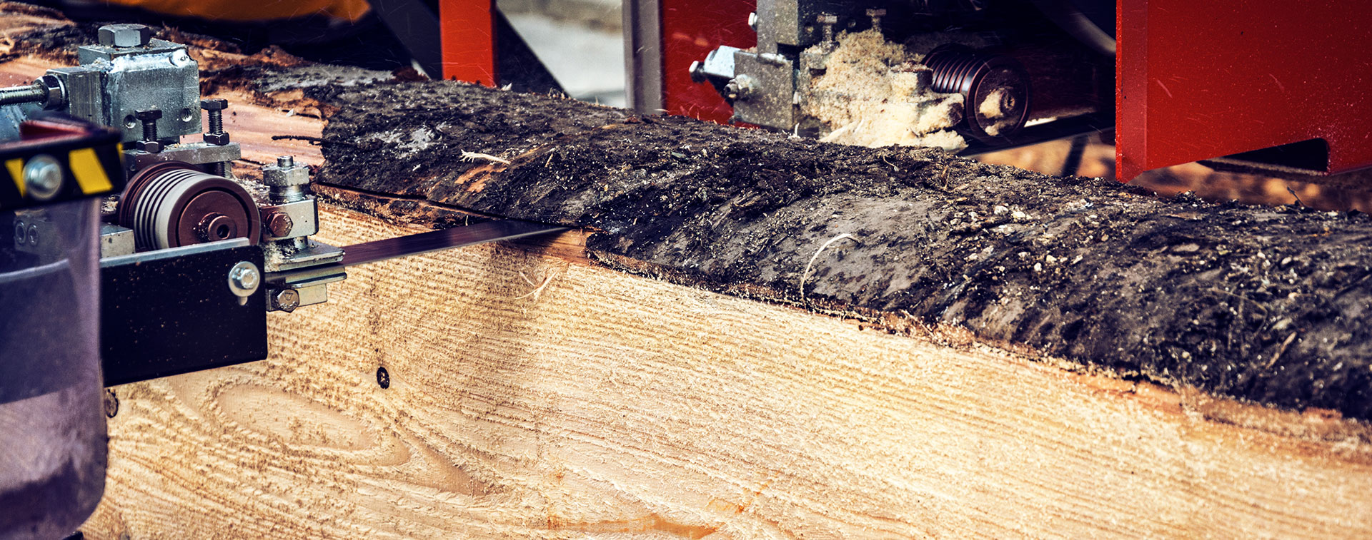 Saw carving tree at lumber mill